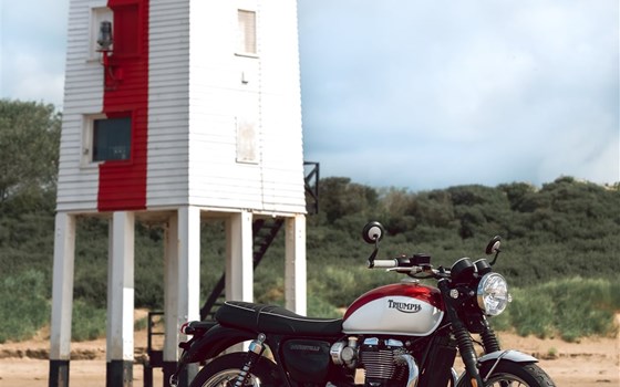 Bonneville T100 & T120 Bud Ekins - Bild 5