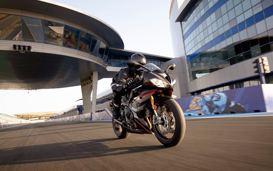 Daytona 765 Limited Edition - Bild 4 Daytona 765 Limited Edition - Bild 4