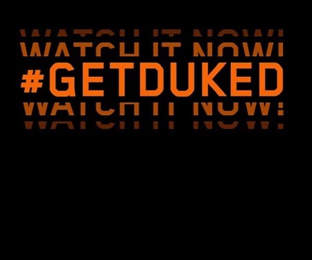 BEAST IN ACTION - 1290 Superduke