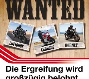 Honda Wanted Modelle 2013 !