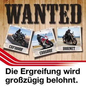 Honda Wanted Modelle 2013 !