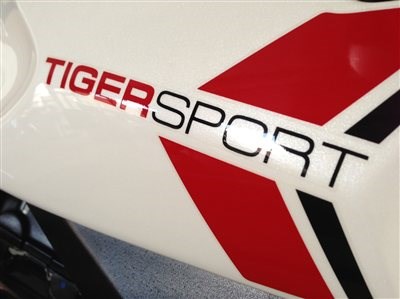 TIGER SPORT !!!
