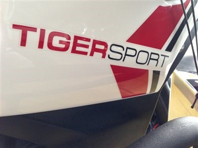 TIGER SPORT !!! - Bild 3