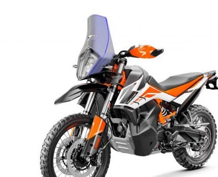 R/G Rallyscheibe KTM 790 Adventure / R