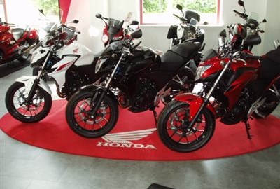 Unser Angebot der Woche für Sie !!!