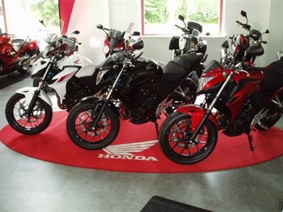 Unser Angebot der Woche für Sie !!!