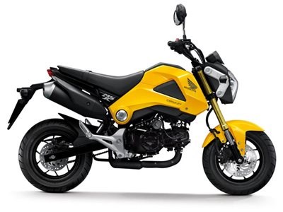 Honda Semmler - MSX 125 eingetroffen - Bild 4