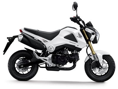 Honda Semmler - MSX 125 eingetroffen - Bild 5