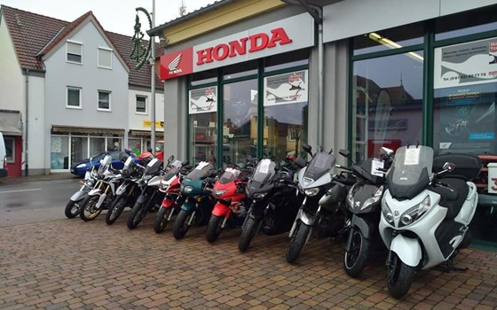 AFRICA TWIN VORSTELLUNG MODELL 2020 - Bild 6