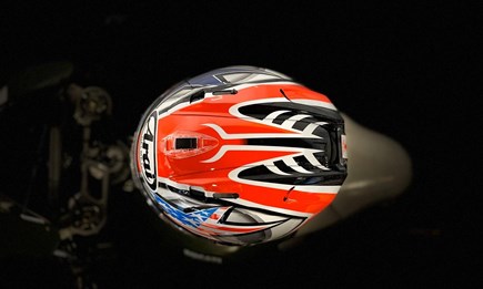 Der letzte seiner Art