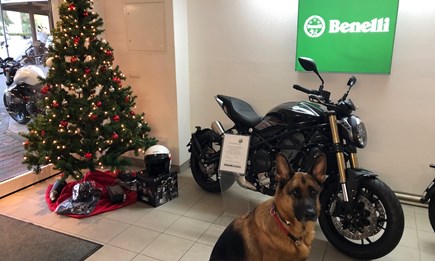 Benelli-Fantic-Mash "Winter Spezial" Finanzierung. Jetzt kaufen ober bestellen -erst nach 90 Tagen die erste Rate zahlen.