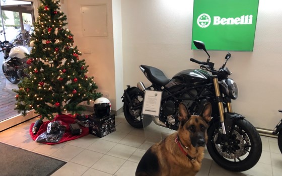 Benelli-Fantic-Mash "Winter Spezial" Finanzierung. Jetzt kaufen ober bestellen -erst nach 90 Tagen die erste Rate zahlen. - Bild 1