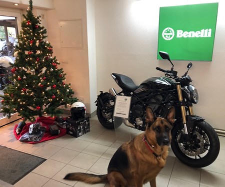 Benelli-Fantic-Mash "Winter Spezial" Finanzierung. Jetzt kaufen ober bestellen -erst nach 90 Tagen die erste Rate zahlen.