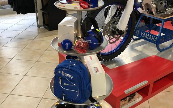 Du suchst noch nach dem richtigen Weihnachtsgeschenk ? - Bild 1