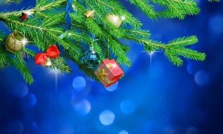 Frohe Feiertage 2019!