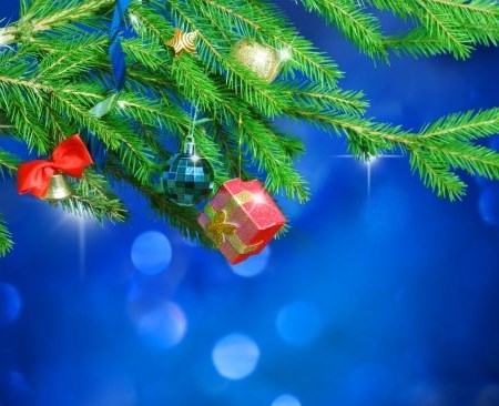 Frohe Feiertage 2019! Frohe Feiertage 2019!