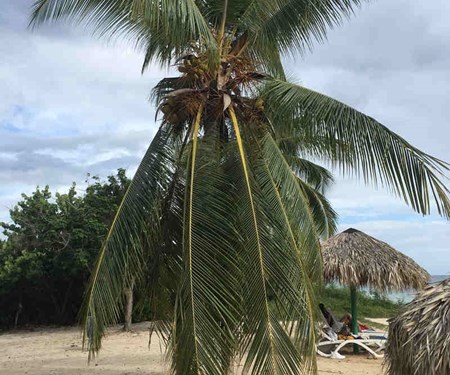 Betriebsurlaub! Betriebsurlaub!