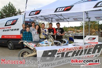 Herbstgranitbeisser  Herbstgranitbeisser