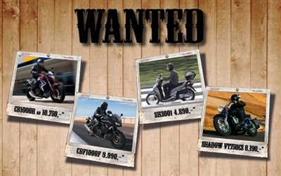 Honda Semmler - Wanted Modelle 2014