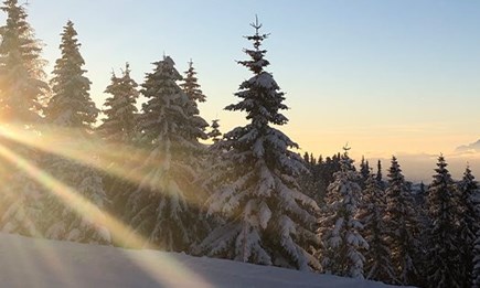 WINTERZEIT IST SERVICEZEIT