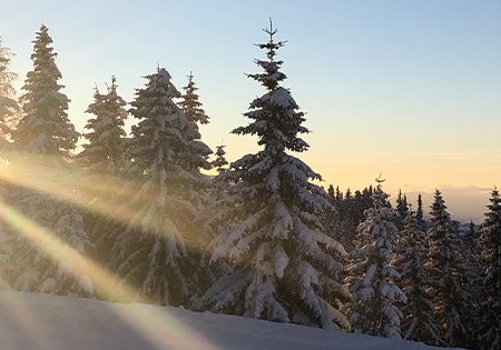 WINTERZEIT IST SERVICEZEIT WINTERZEIT IST SERVICEZEIT