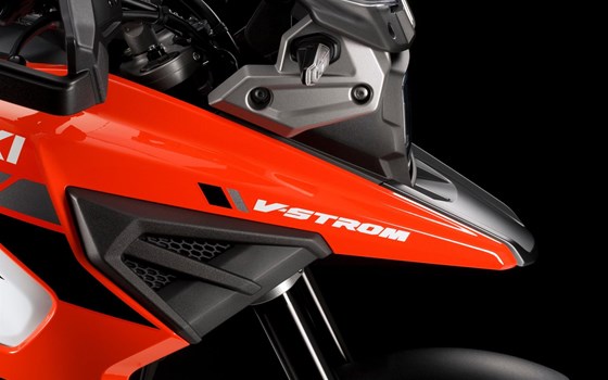 Wir sind in Wels - Bild 3