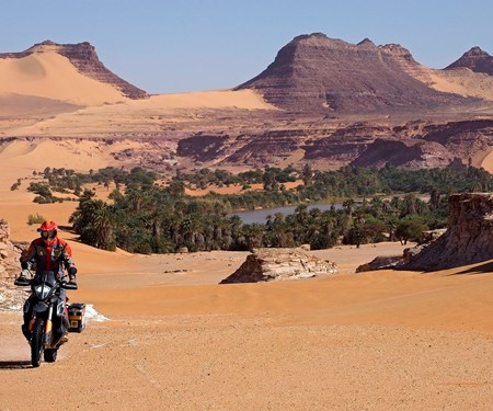 Joe Pichler - Inside Afrika - 22.03.2020 Joe Pichler - Inside Afrika - 22.03.2020