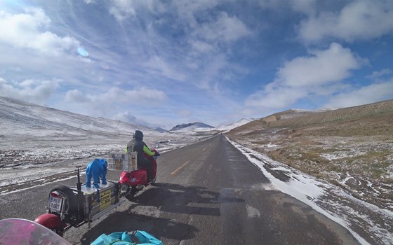 Elephant to India im Würzburger Central - Bild 2