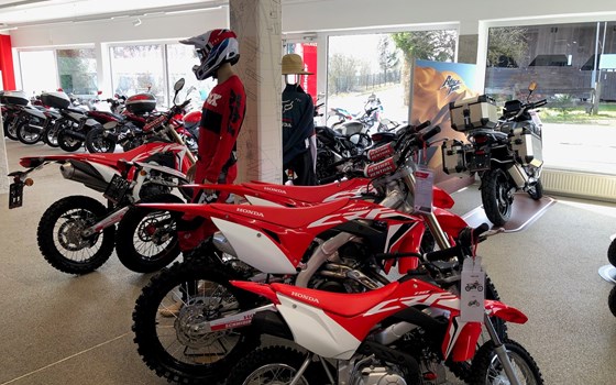 Neuer Showroom bei Honda Schmidinger - Bild 6
