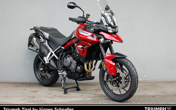 Triumph Tiger 900 GT Pro - Bild 1