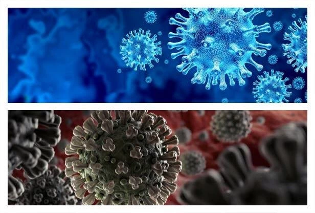 Info zu Covid-19 Bild 1: Info zu Covid-19