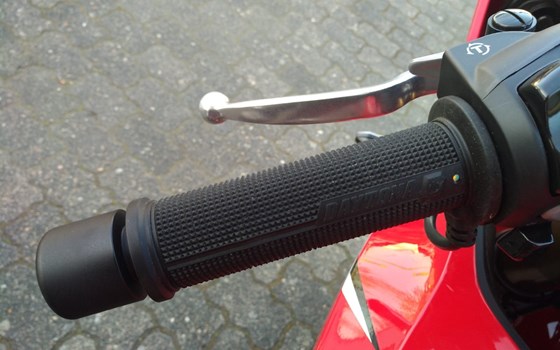 Neue Heizgriffe von Daytona - Bild 2