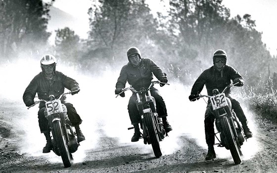 Special Edition BUD EKINS T120 - Bild 8