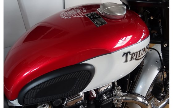 Special Edition BUD EKINS T120 - Bild 10