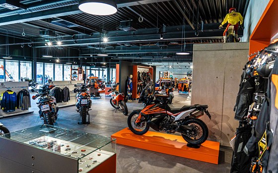 neue Fotos online - Bild 1