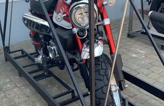 Neue Lieferung!!! Die erste Monkey für dieses Jahr  - Bild 1