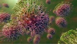 Corona - es geht aufwärts !!! Bild 1: Corona - es geht aufwärts !!!