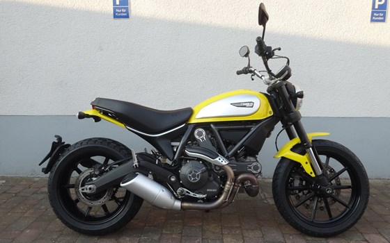 Gebrauchtfahrzeug  Ducati Scrambler Icon - Bild 1