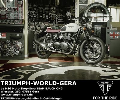 TRIUMPH Thruxton Ace - Bild 2