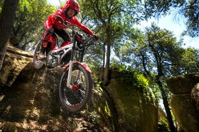 2015 Honda Montesa Cota 4RT260 bereits eingetroffen! - Bild 1 2015 Honda Montesa Cota 4RT260 bereits eingetroffen! - Bild 1