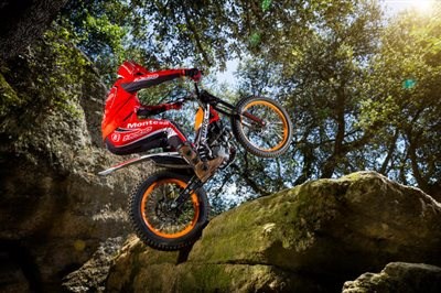 2015 Honda Montesa Cota 4RT260 bereits eingetroffen! - Bild 10 2015 Honda Montesa Cota 4RT260 bereits eingetroffen! - Bild 10