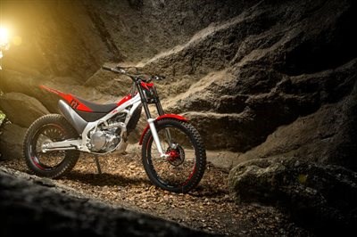 2015 Honda Montesa Cota 4RT260 bereits eingetroffen! - Bild 6 2015 Honda Montesa Cota 4RT260 bereits eingetroffen! - Bild 6