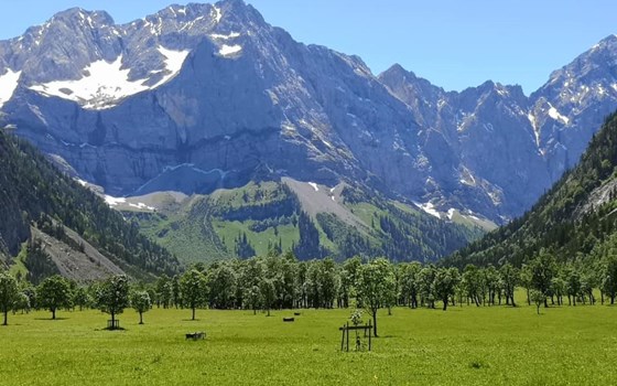 Alpentour 2020  - Bild 11