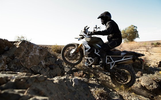 SAVE THE DATE - 18. Juli 2020 - Bild 4