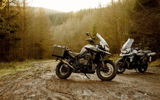 SAVE THE DATE - 18. Juli 2020 - Bild 3