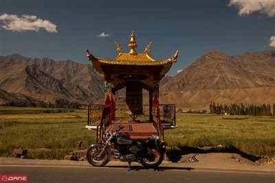 DANE Trans Himalaya am 05.12.2014 - Bild 2