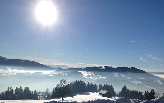 SERVICE  SERVICE  SERVICE - Bild 1