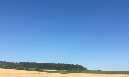 Betriebsferien bis 1.9.