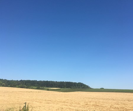 Betriebsferien bis 1.9.