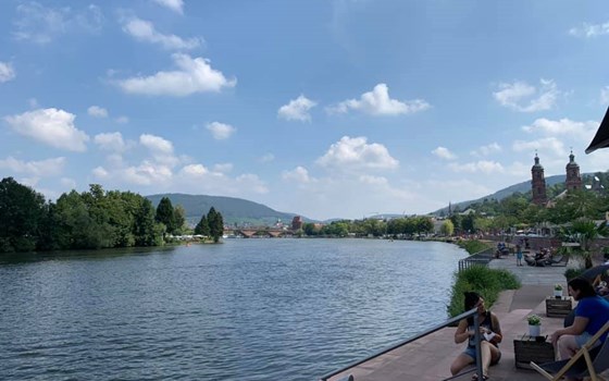 Tour nach Miltenberg - Bild 3